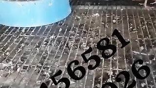 Pigeon for sale in Pakistan 14