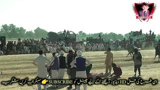 #febspot#foryou #foryoupage#horses#ridings#vedio65#ahmad#nasir#sports#fyb#fybpage