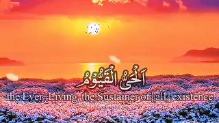 eart Touching Quran Recitation #shortfeed #quran #daroodsharif.