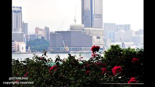 Beauty of Hong Kong city. Photo & video collection. All rights belongs to Stan Lihai