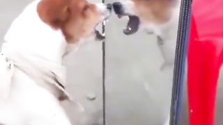 Приколи 648