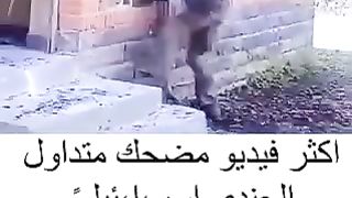 Regardez ce video 4