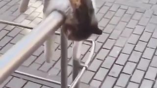 Lelah dengan keadaan????
