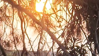 sunset 11