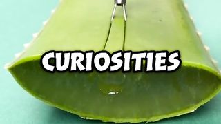 Random Curiosities 2