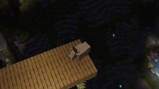 Minecraft 30