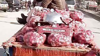 Hard full labour life....