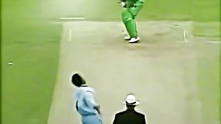 Cricket fans 2