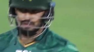 Cricket fans 3