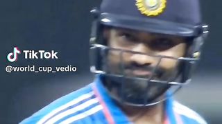 Cricket fans 4