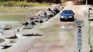 Exciting moments and jokes with animals