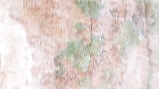 Pohon 5