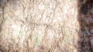 Pohon 7