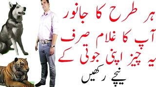 Janwar ko ghulam banane ka wazifa