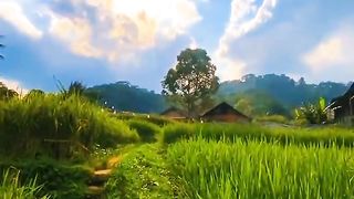 beautiful scenery 8