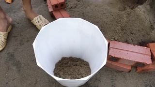Home Garden - How To Growing Chayote