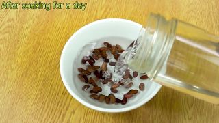 Home Garden - How To Growing Long Bean