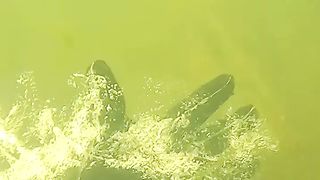 Found Handcuffs Underwater While Scuba Diving!. 3