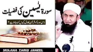 Tariq jameel 178
