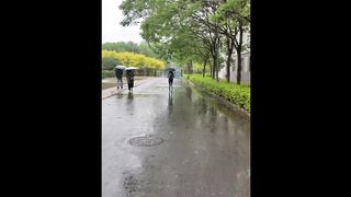 Rainy day 14