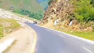 The beauty of greenery
