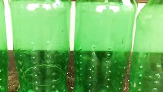 How to Recycle Sprite drink bottles to beautiful wall hanging planter pot idea for home garden decor
