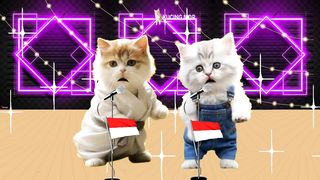 kucing lucu baca Surat Ad_dhuha