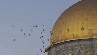 Inshallah 4