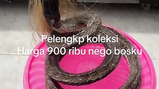 natural phenomenon of snake-man statue#fyp