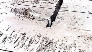 Amazing videos vol 40