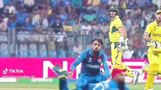 Cricket fans 5