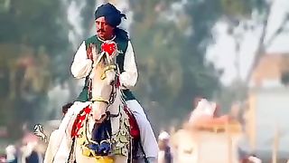 #febspot#foryou #foryoupage#horses#ridings#vedio66#ahmad#nasir#sports#fyb#fybpage