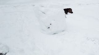 Приколы 41