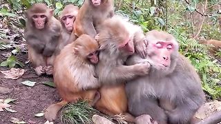get together with your family