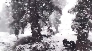 Natural video 126