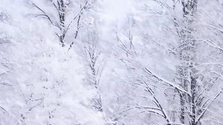 Amazing winter