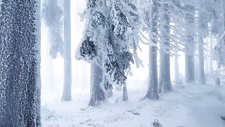 Natural winter