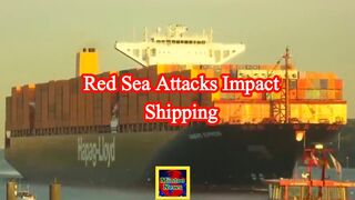 Israel-Hamas War: Shipping delays feared due to Red Sea attacks