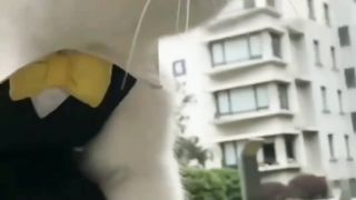 Funny Cats Moment Videos