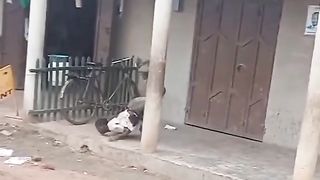 Talent un vrai scorpion