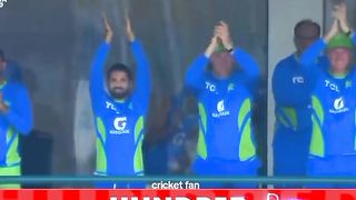 Cricket fans 6
