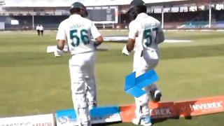 Cricket fans 7