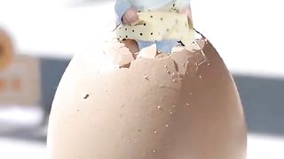 Funny Videos 33