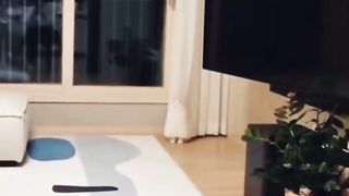 Смешные коты 4