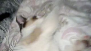 Котик мем