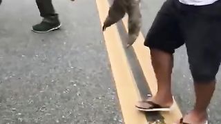 Here’s me voice as a grateful sloth waving goodbye