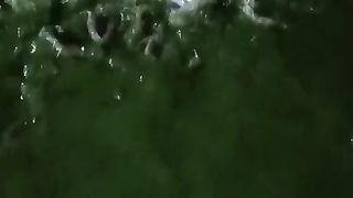 Bagi saya, pemberian pakan pada malam hari itu wajib, mengingat lele bersifat nokturnal