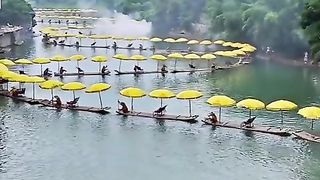 Golden dragon bamboo rafts along Yulong river.