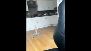 New Funny Animals ???? Funniest Cats and Dogs Videos ???????? 32