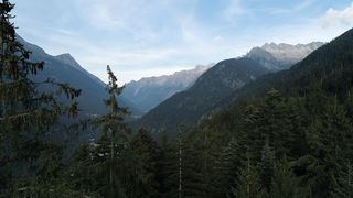 "Marvel at Wild Beauty: An Immersive Journey into Nature"